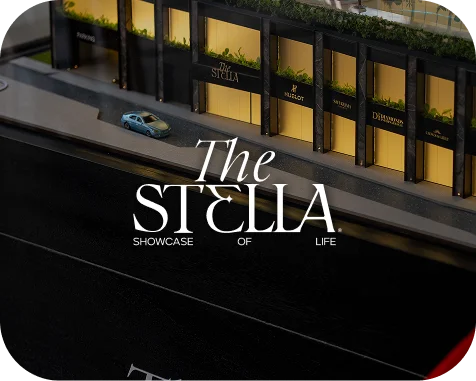 Agencia de desarrollo web - BWE Agency