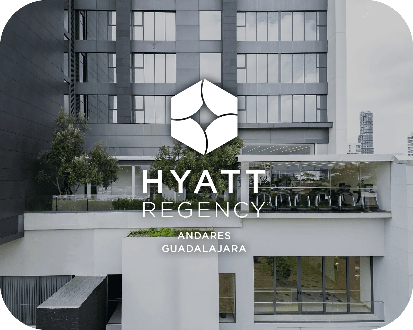 Agencia de desarrollo web - BWE Agency